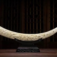 精雕打磨天然猛犸牙 双龙戏珠摆件 天然猛犸尺寸62227